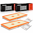 APEAF238 2 Pcs Engine Air Filter