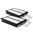 APEAF248 2 Pcs Engine Air Filter