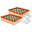 APEAF250 2 Pcs Engine Air Filter