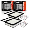 APEAF252 2 Pcs Engine Air Filter