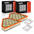 APEAF256 2 Pcs Engine Air Filter