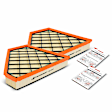 APEAF256 2 Pcs Engine Air Filter