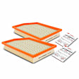 APEAF273 2 Pcs Engine Air Filter with Flexible Panel