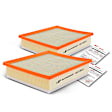 APEAF275 2 Pcs Engine Air Filter