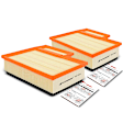 APEAF285 2 Pcs Engine Air Filter
