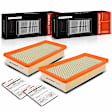 APEAF287 2 Pcs Engine Air Filter