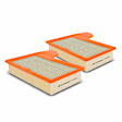 APEAF293 2 Pcs Engine Air Filter