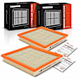 APEAF295 2 Pcs Engine Air Filter