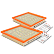 APEAF295 2 Pcs Engine Air Filter