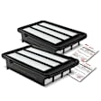 APEAF297 2 Pcs Engine Air Filter