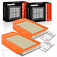 APEAF309 2 Pcs Engine Air Filter