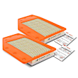 APEAF309 2 Pcs Engine Air Filter