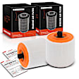 APEAF311 2 Pcs Engine Air Filter