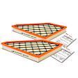APEAF313 2 Pcs Engine Air Filter