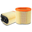 APEAF315 2 Pcs Engine Air Filter