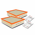 APEAF317 2 Pcs Engine Air Filter