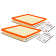 APEAF319 2 Pcs Engine Air Filter