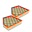 APEAF323 2 Pcs Engine Air Filter with Flexible Panel