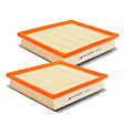 APEAF325 2 Pcs Engine Air Filter