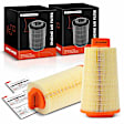 APEAF331 2 Pcs Engine Air Filter