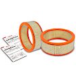 APEAF339 2 Pcs Engine Air Filter