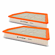 APEAF347 2 Pcs Engine Air Filter