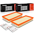 APEAF362 2 Pcs Engine Air Filter