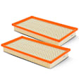 APEAF364 2 Pcs Engine Air Filter