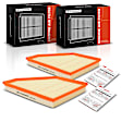 APEAF366 2 Pcs Left & Right Engine Air Filter