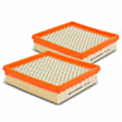 APEAF369 2 Pcs Engine Air Filter