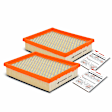 APEAF371 2 Pcs Engine Air Filter