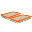 APEAF375 2 Pcs Engine Air Filter