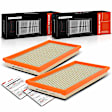 APEAF377 2 Pcs Engine Air Filter