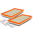 APEAF377 2 Pcs Engine Air Filter