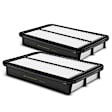 APEAF387 2 Pcs Engine Air Filter