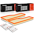 APEAF389 2 Pcs Engine Air Filter