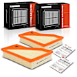 APEAF394 2 Pcs Engine Air Filter