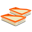 APEAF394 2 Pcs Engine Air Filter