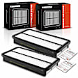 APEAF396 2 Pcs Engine Air Filter