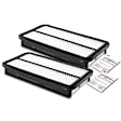 APEAF396 2 Pcs Engine Air Filter