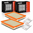 APEAF403 2 Pcs Engine Air Filter