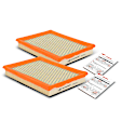 APEAF403 2 Pcs Engine Air Filter