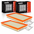 APEAF411 2 Pcs Engine Air Filter