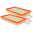 APEAF411 2 Pcs Engine Air Filter