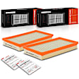 APEAF413 2 Pcs Engine Air Filter