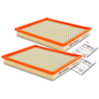 APEAF417 2 Pcs Engine Air Filter