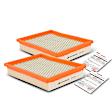 APEAF419 2 Pcs Engine Air Filter
