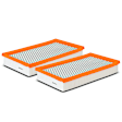 APEAF423 2 Pcs Engine Air Filter
