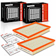 APEAF427 2 Pcs Engine Air Filter