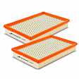APEAF427 2 Pcs Engine Air Filter